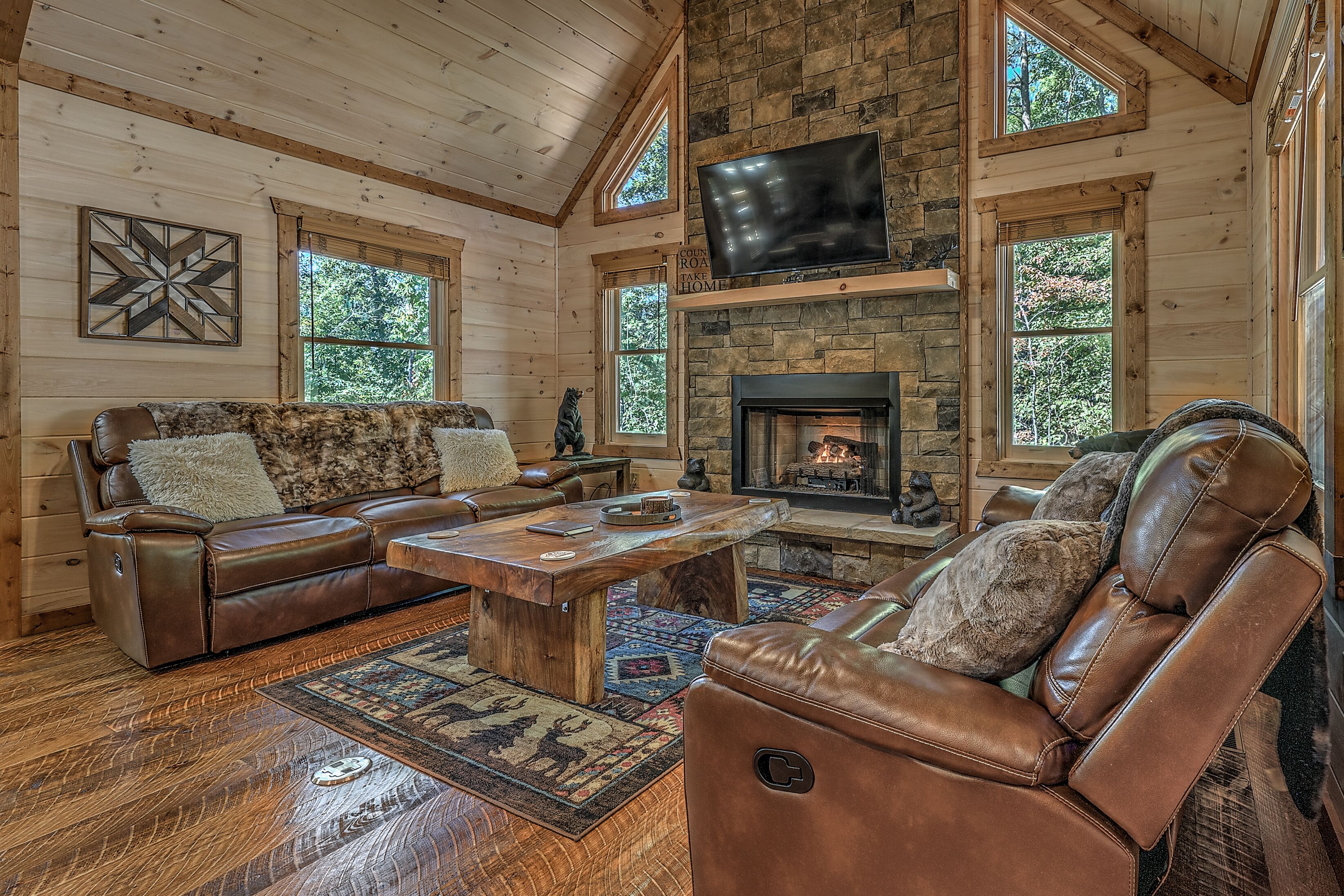 Smart TV, fireplace, video games, books