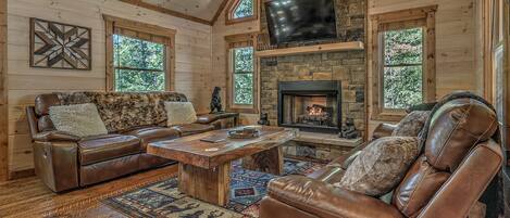 TV connectée, cheminée, jeux vidéo, livres