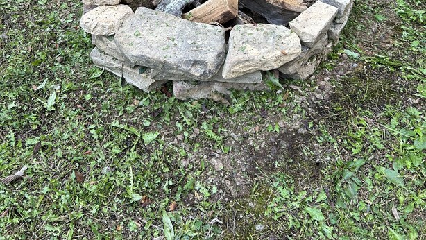 Un foyer en pierre, entouré d’herbe et de feuillage.