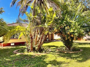 Property grounds - A compact, cosy guesthouse exuding a home away from home feel. Lush garden too (Harare)