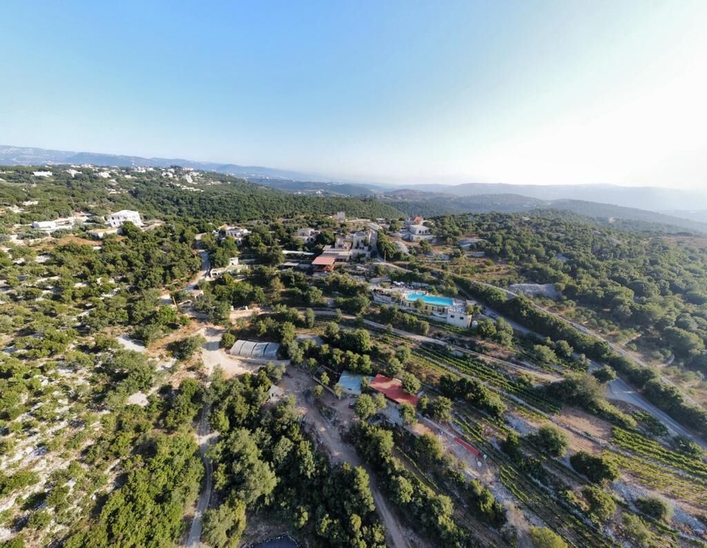 An aerial view of a rural area with scattered buildings, vineyards, and a prominent house with a blue roof.