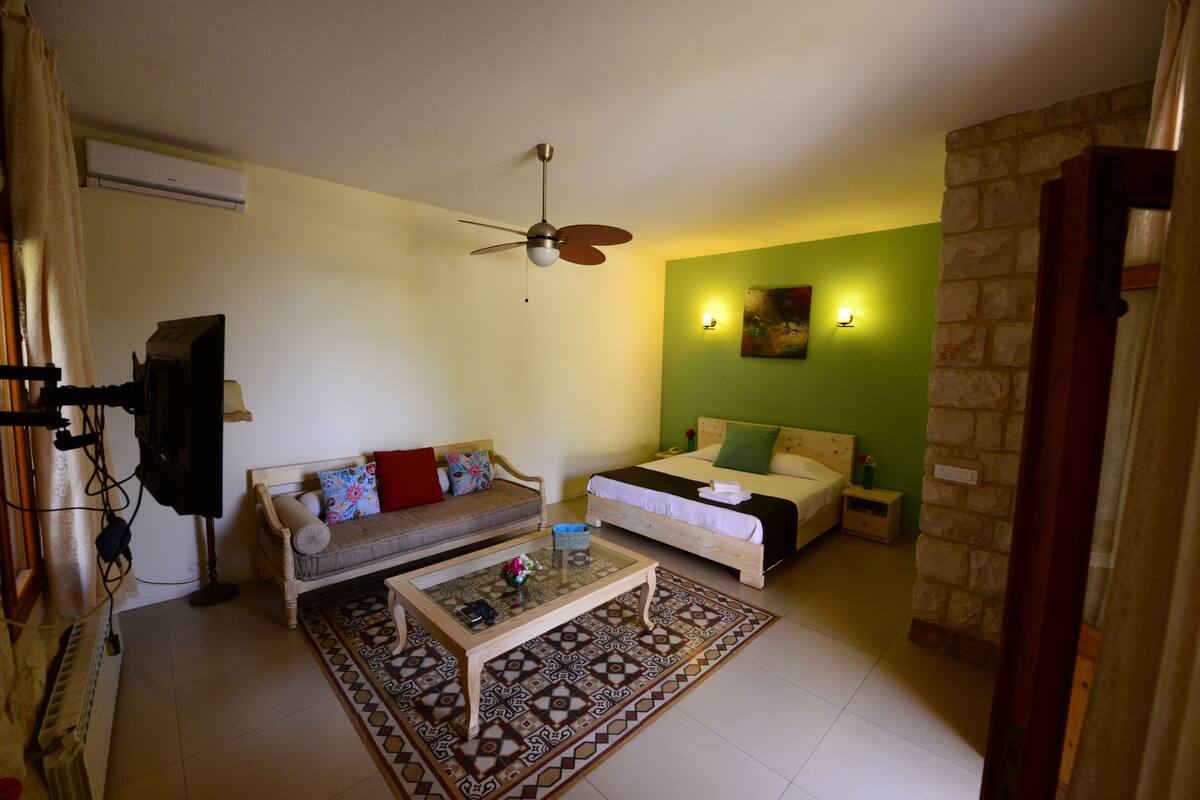 A room with a bed, a sofa, a coffee table, and a ceiling fan.
