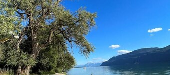 CHAMPFLEURY - CHINDRIEUX