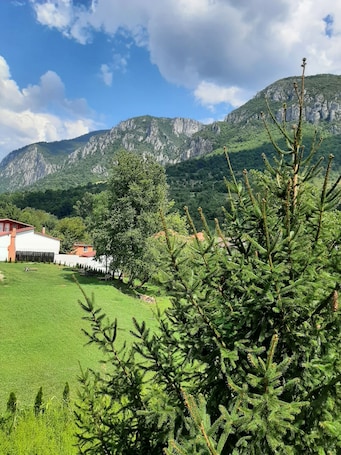 A green field with a building and mountains in the background.