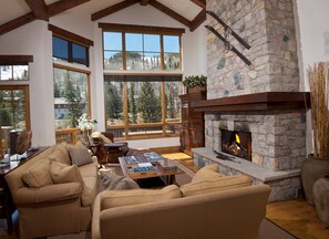 TV, fireplace, DVD player