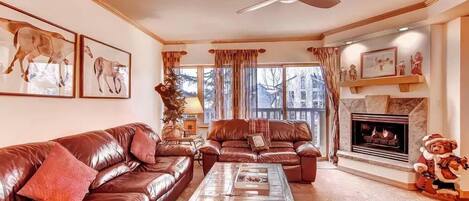 TV, fireplace, DVD player