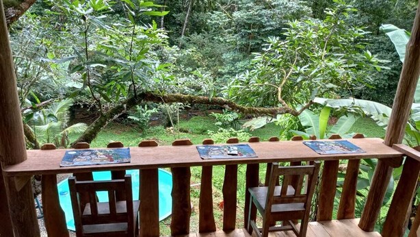 A wooden deck with a table and chairs, surrounded by lush greenery and a pool.