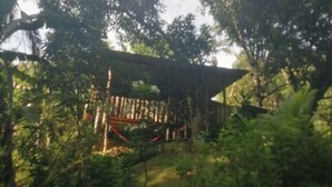 A wooden structure with a roof, surrounded by dense greenery and trees.