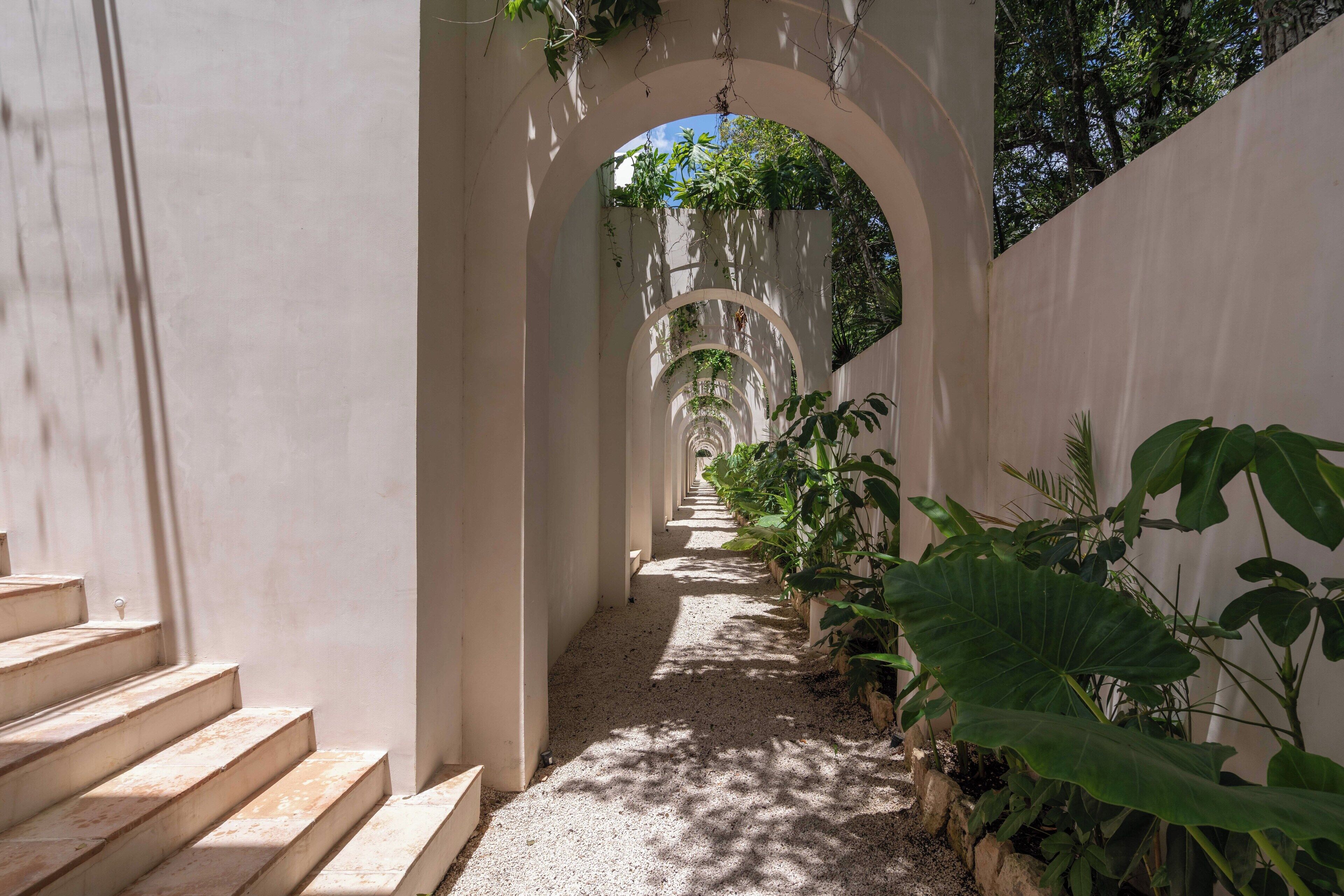 A narrow, sunlit corridor with white walls and a gravel path, flanked by large green plants and an archway leading to a shaded area.