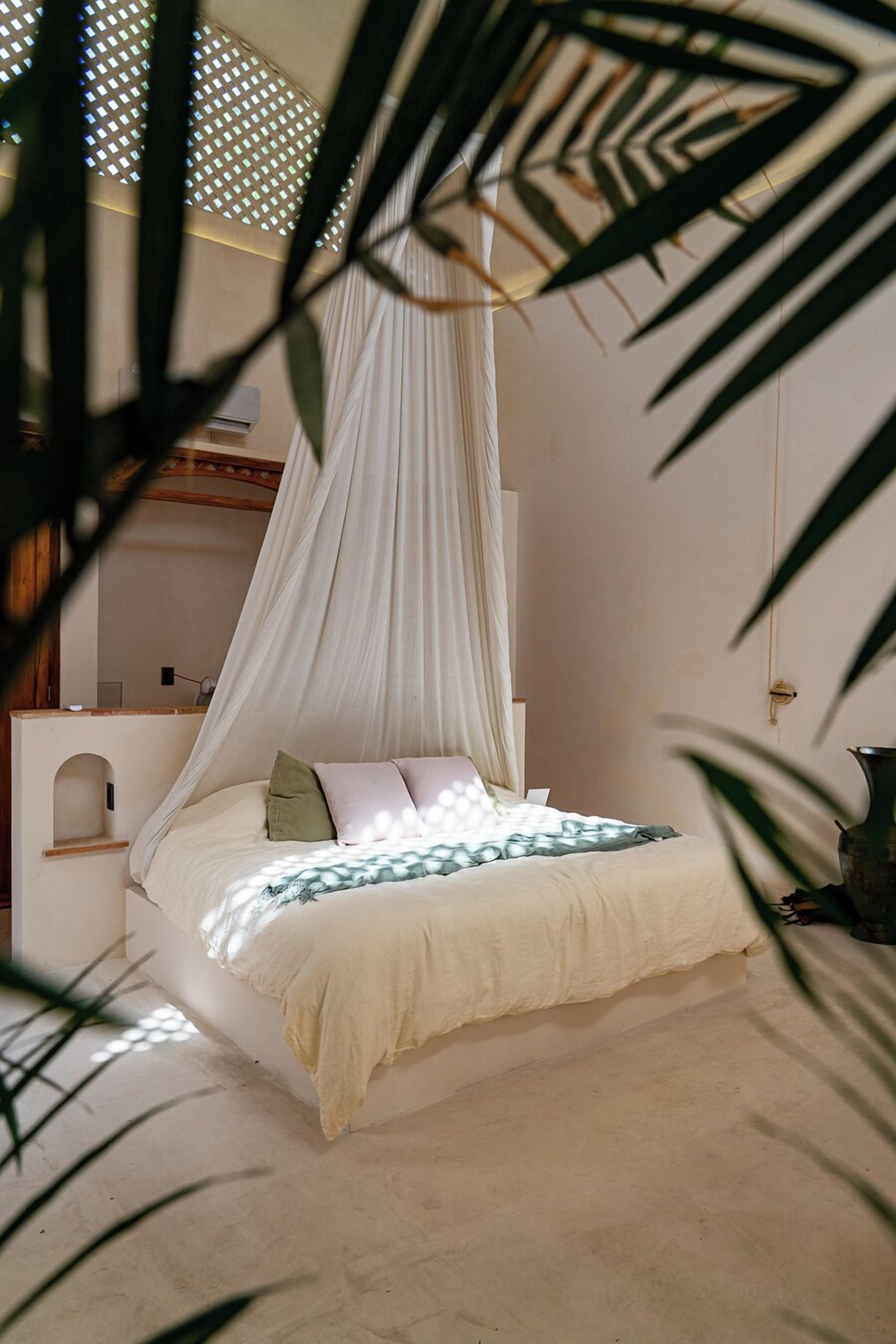 Una cama con dosel, una mesita de noche y una planta en maceta.