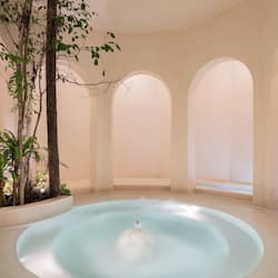 Sauna seca, banheira de hidromassagem, sauna a vapor, banho turco/hammam