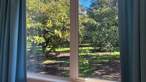 Una ventana con vista a un jardín arbolado.