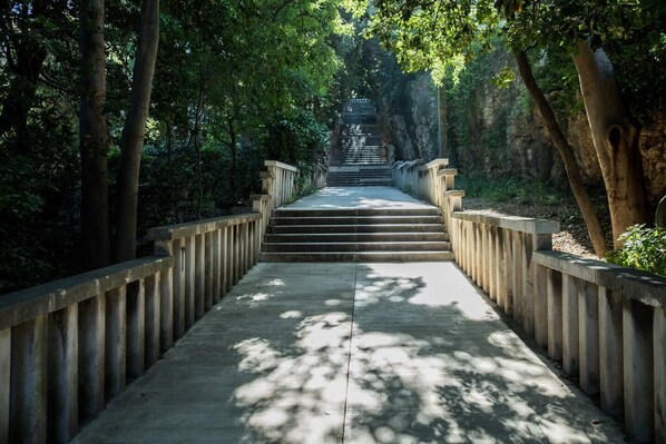 Áreas de la propiedad