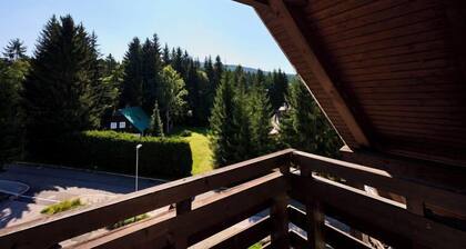 Harrachov 497 by Interhome