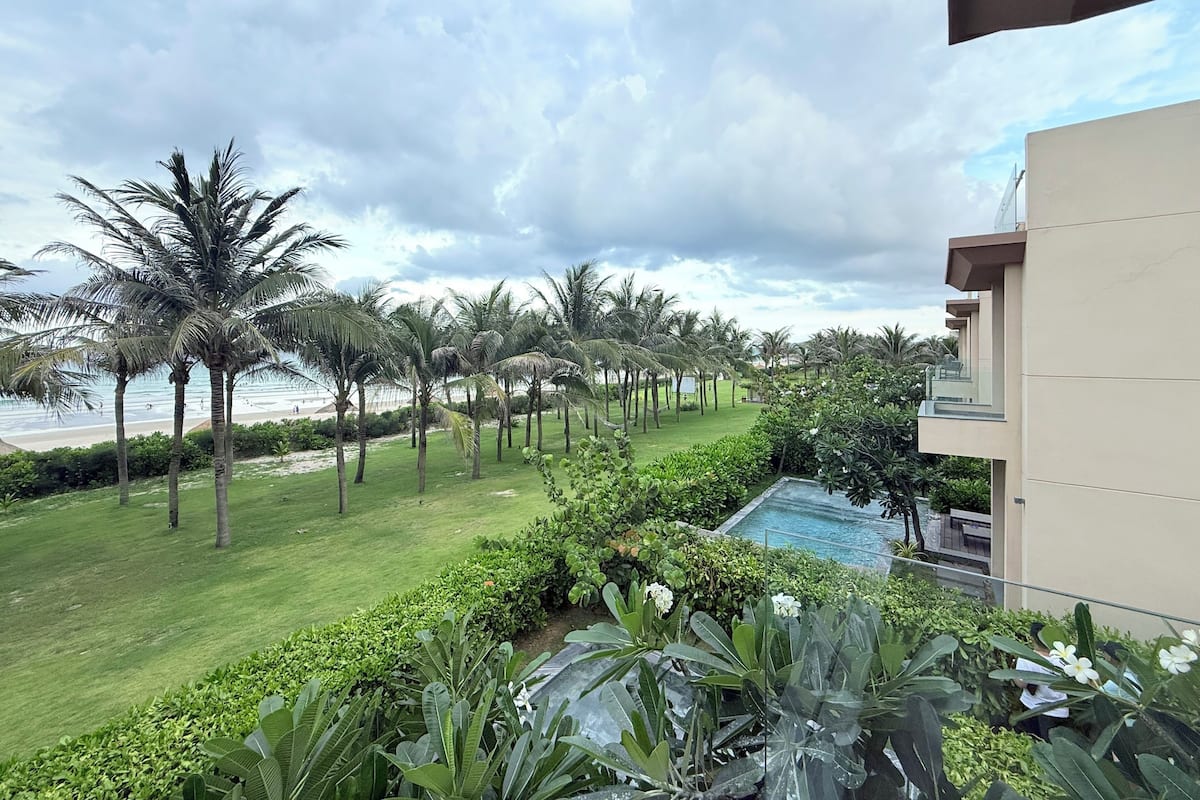 A lush garden with palm trees and a pool, overlooking a beach.