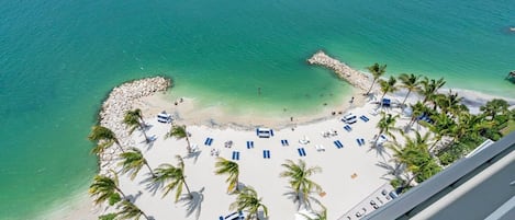 A beach with clear turquoise water, white sand, and palm trees.