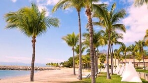 A beach with palm trees and a white tent.