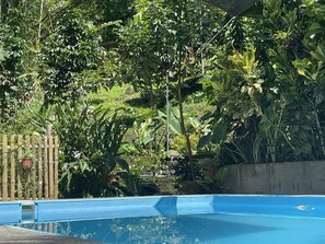 Outdoor pool - The Twin Studio Cottages (Murcia)