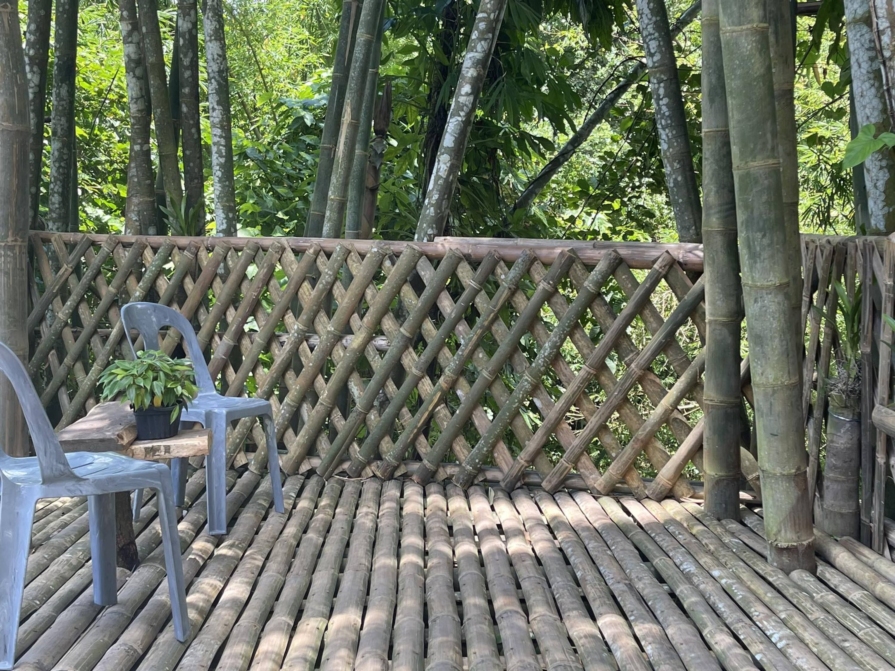 A bamboo deck with a lattice fence, a plastic chair, and a potted plant.
