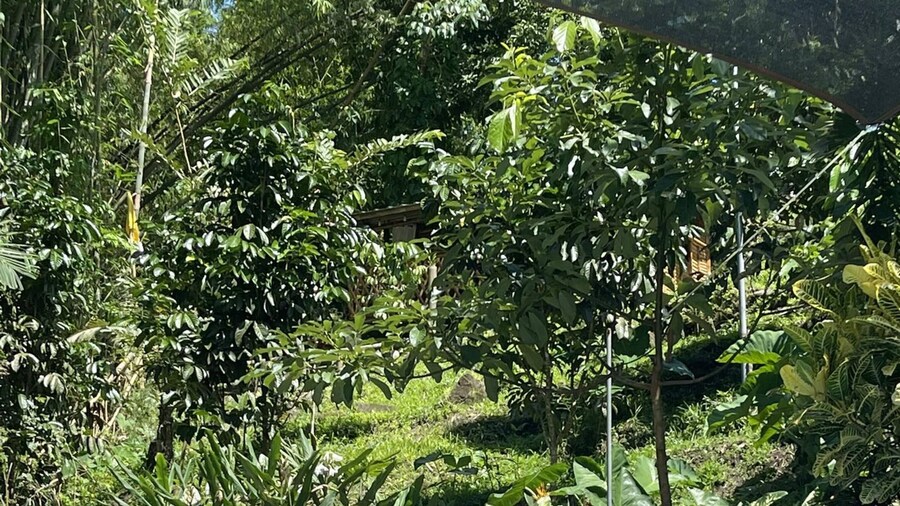 The Twin Studio Cottages