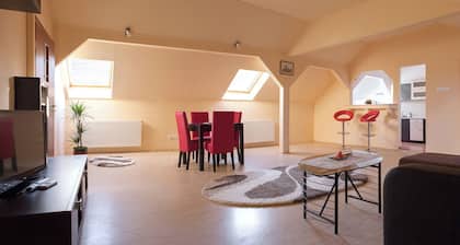 Big Family Apartment is a central apartment in Satu Mare Apartments building.