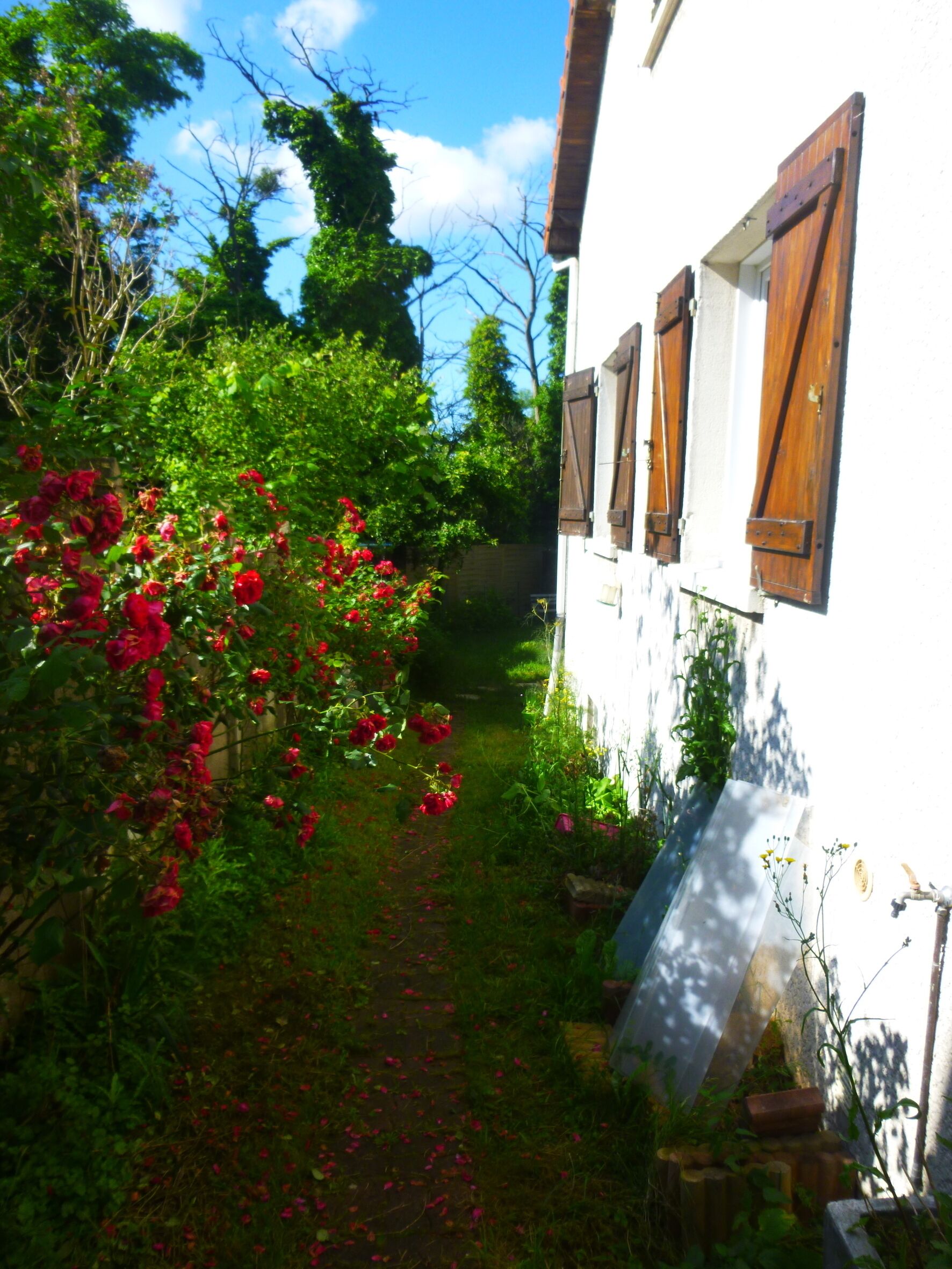 Details aan de buitenkant