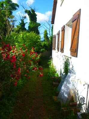 Details aan de buitenkant