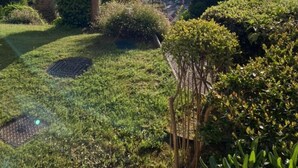 Um jardim ajardinado com palmeiras e arbustos, um caminho pavimentado e vista para o mar.
