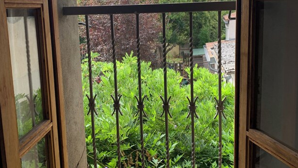 Ein Fenster mit Metallgitter, das einen Blick auf einen Garten mit verschiedenen Pflanzen und einem Baum bietet.