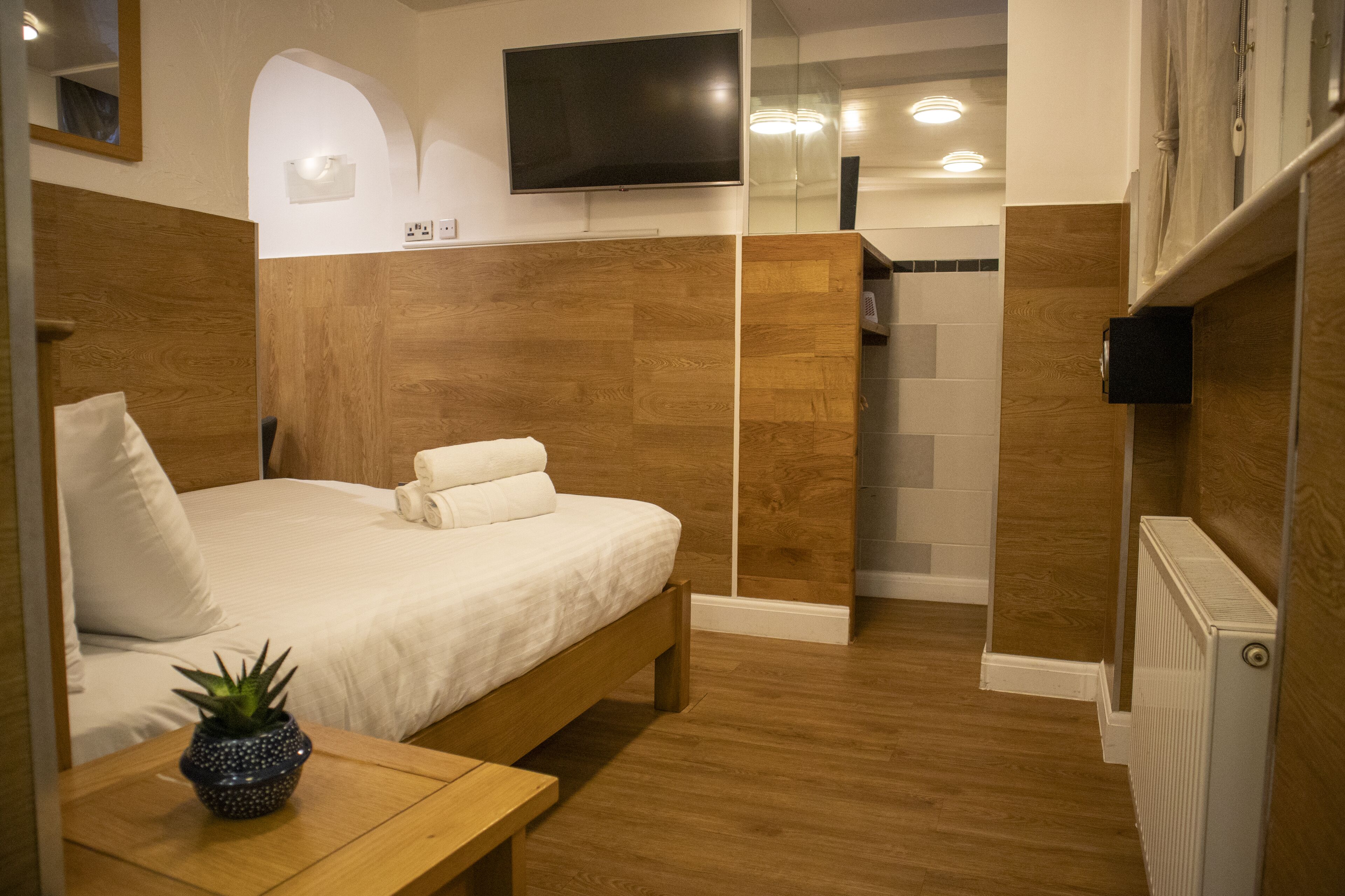 A modern bedroom with a wooden headboard, a flat-screen TV, a bedside table with a plant, and a shower area with wooden walls.