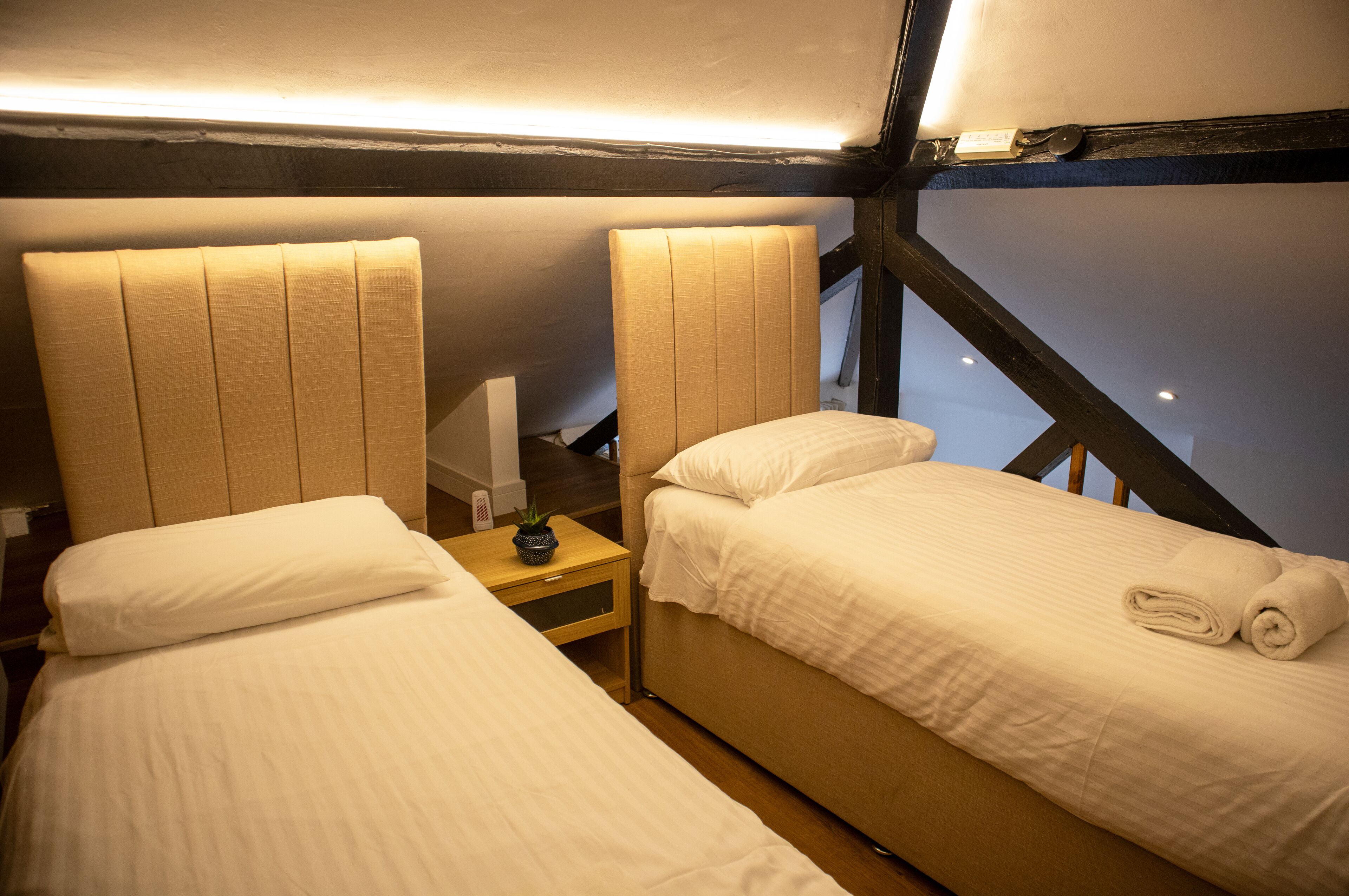 A hotel room with two beds, a nightstand, a small potted plant, and a window with a view.