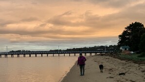 Une plage où l’on voit une personne et un chien se promener le long du rivage, une jetée en arrière-plan et une maison à proximité.