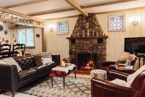 Smart TV, fireplace, DVD player, books