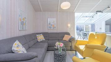TV connectée, cheminée, lecteur de DVD, chaßne hi-fi