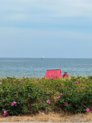 Beach - Haus Strandläufer, 6 Sz, Meer-strandnähe , Sauna,whirlpool, Ruhig, Hunde Erlaubt (Schönhagen)