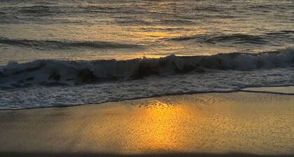 Ocean view, bldg is beachfront, located near restaurants, popular attractions.