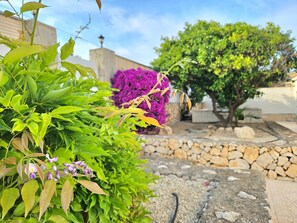 Overnattingsstedets uteområder