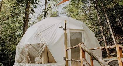 Whispering Waters: Dome Getaway