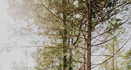 Whispering Waters: Dome Getaway