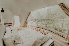 Free WiFi, bed sheets - Whispering Waters: Dome Getaway (Cosby)