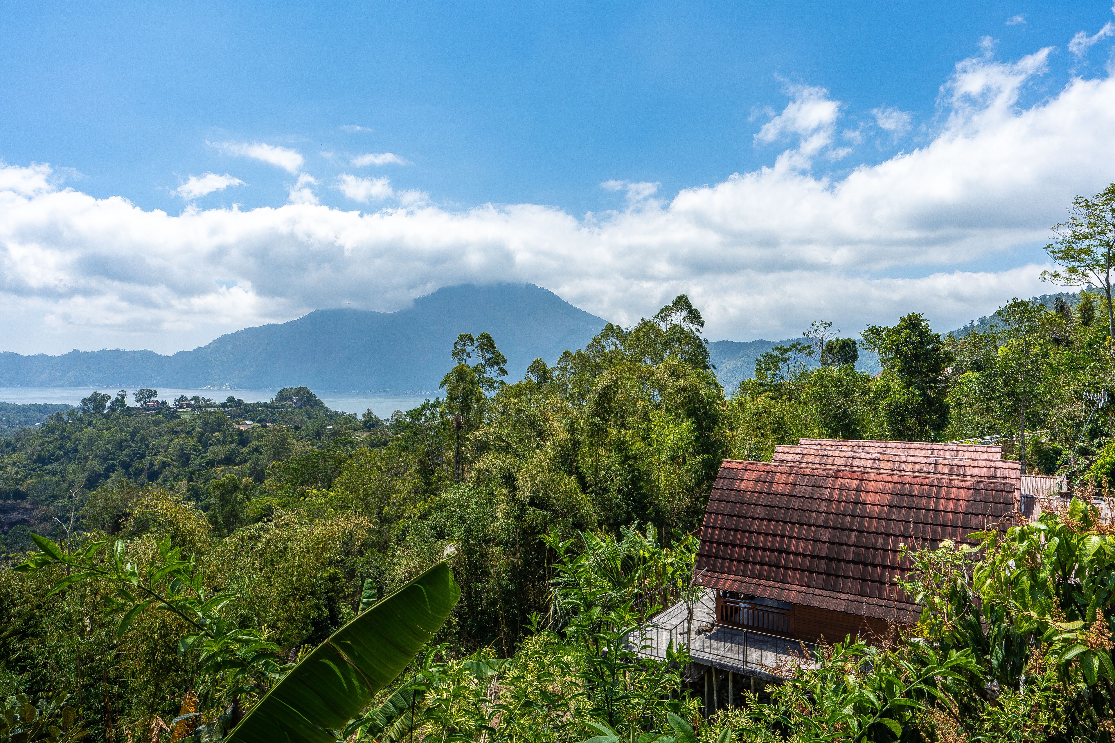 Una casa con techo rojo rodeada de vegetación exuberante y una montaña al fondo.