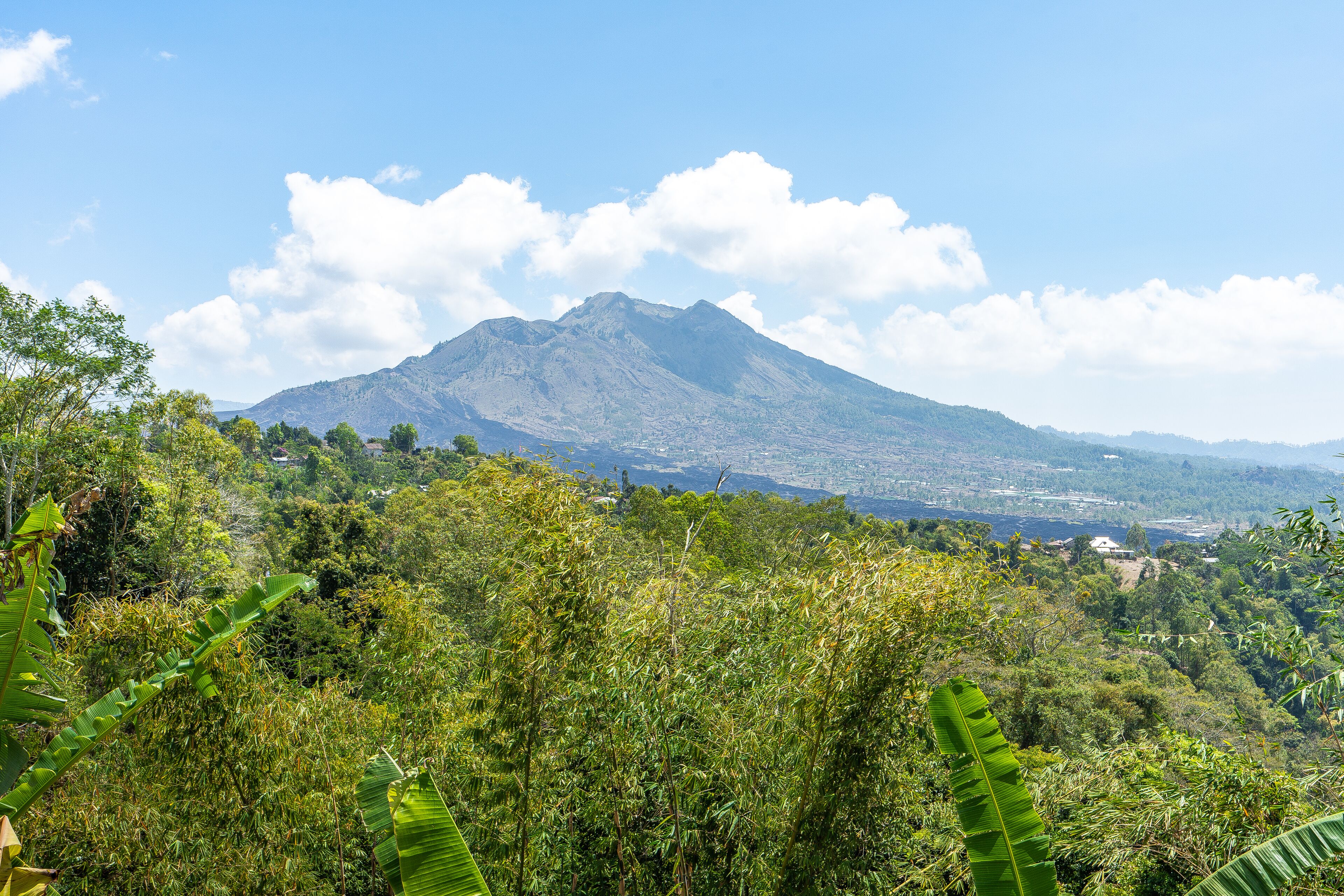 Une montagne se dressant sous un ciel dégagé, avec une végétation luxuriante au premier plan.