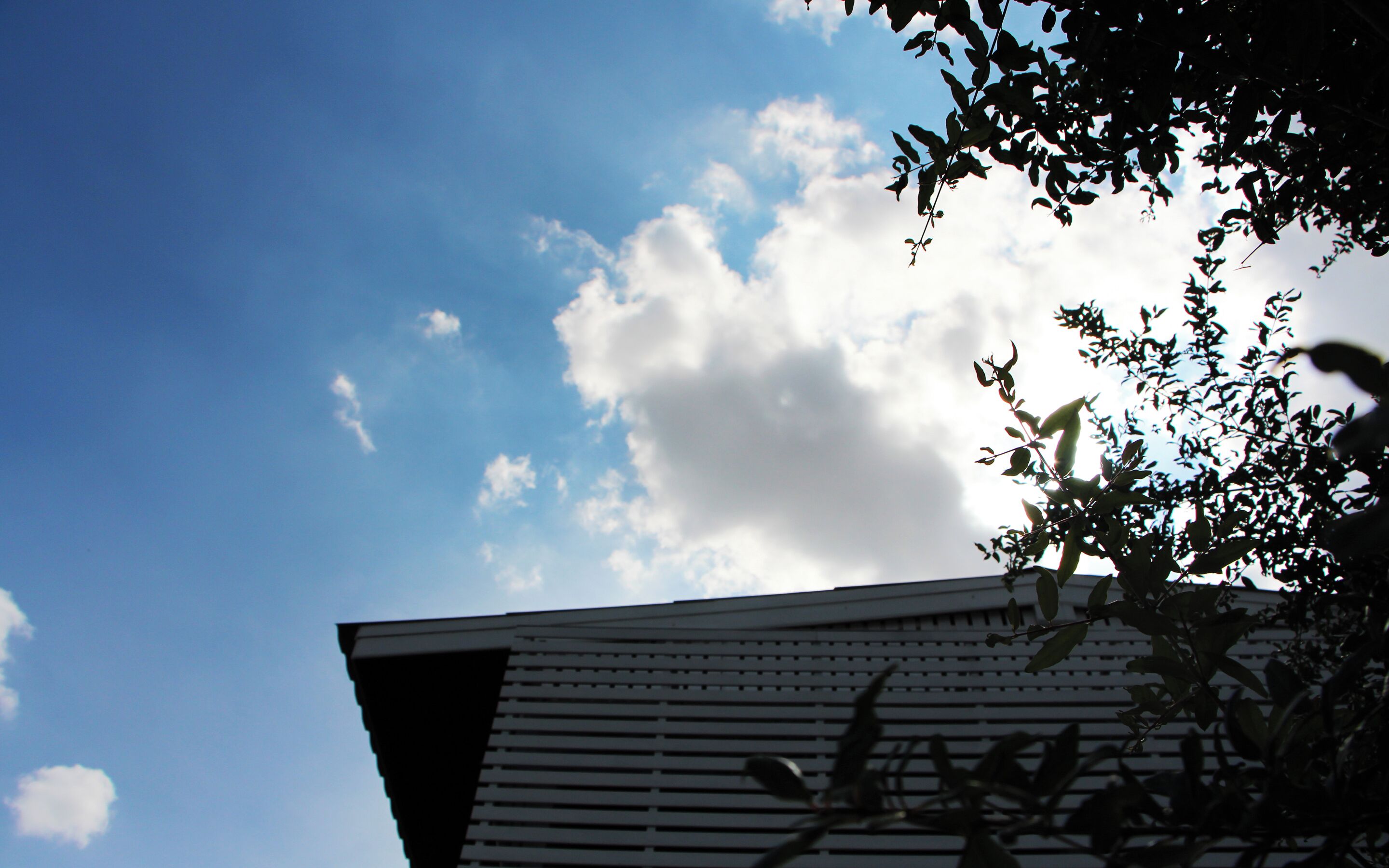 Photo - Room in Guest room - Baan Khunphiphit Homestay no2229