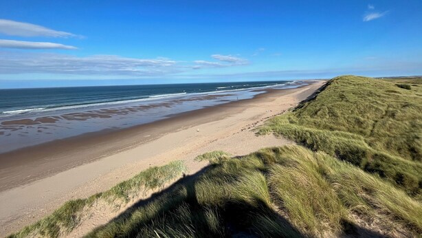 Ein Strand mit blauem Himmel und grasbewachsenen Dünen.