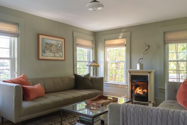 Smart TV, chimenea, libros y oficina