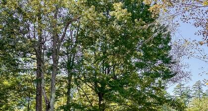 Apres-Ski House: 20 min to Sunday River and Steam Room