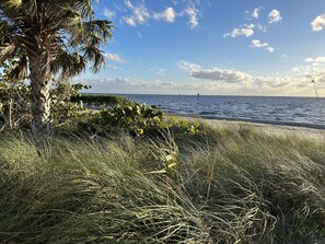 Beach - RUM CAY GETAWAY: South facing waterfront home, private pool/spa, bar, and dock. (Punta Gorda)