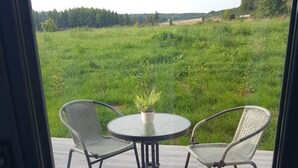 A patio with two wicker chairs and a round table, featuring a potted plant.