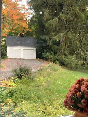 A garage with a gravel driveway, surrounded by dense trees and shrubs.