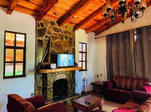 Smart TV, fireplace